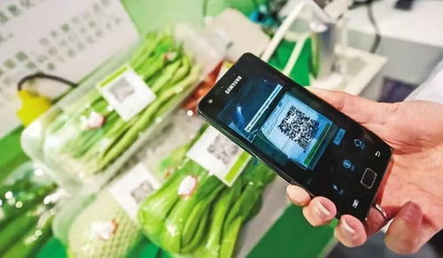 從園區菜籃子到科技籃 工業互聯網賦能農業生產的數字化轉型